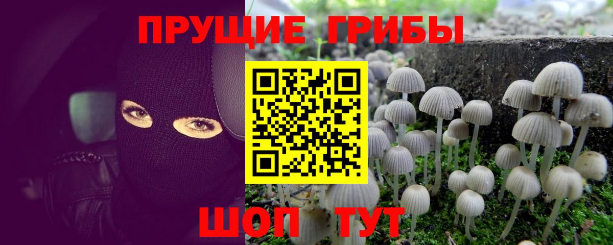 Корсаков  Галлюциногенные грибы MAGIC MUSHROOMS  Вход с VPN 